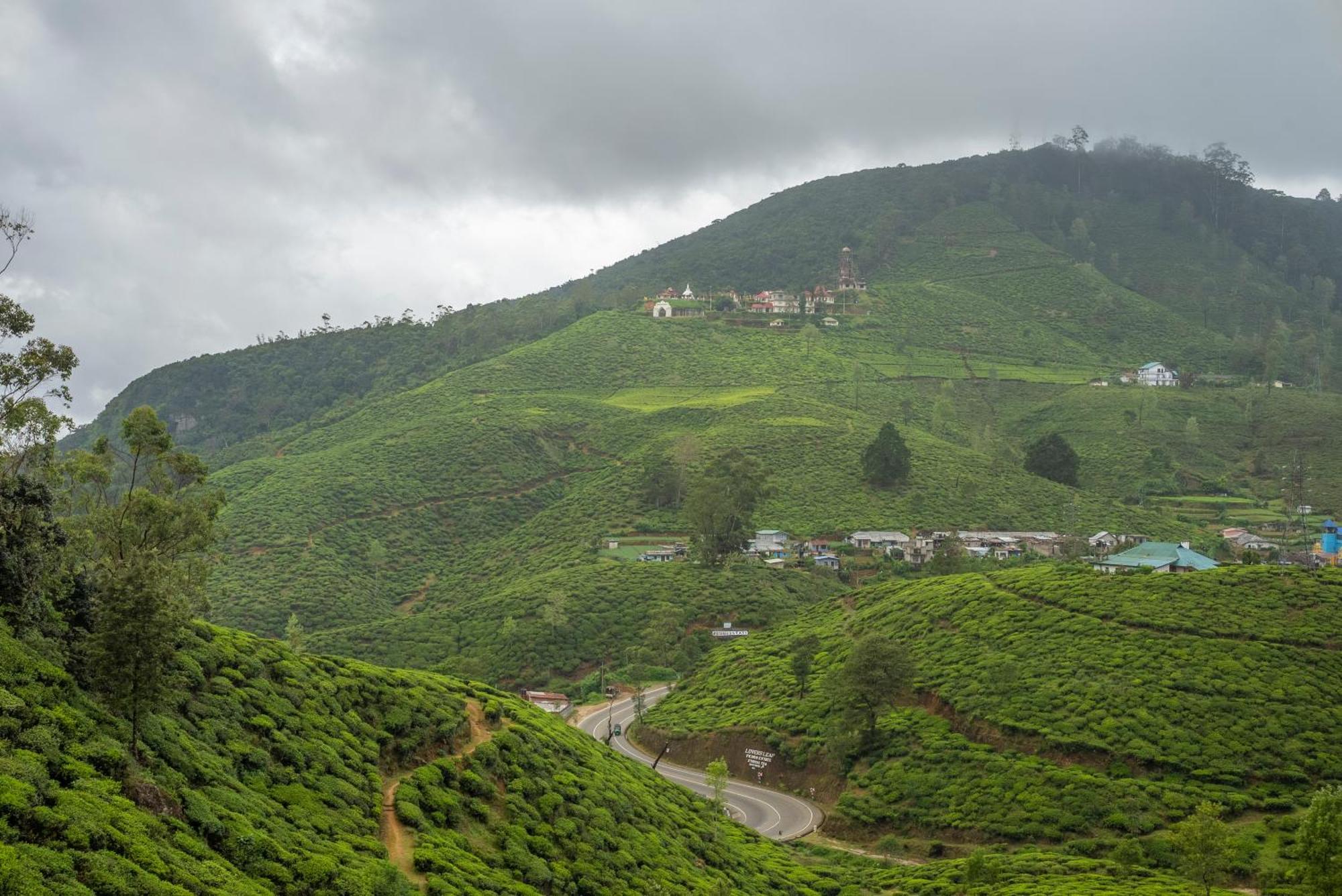 Hotel Aaradhya Nuwara Eliya Exteriér fotografie