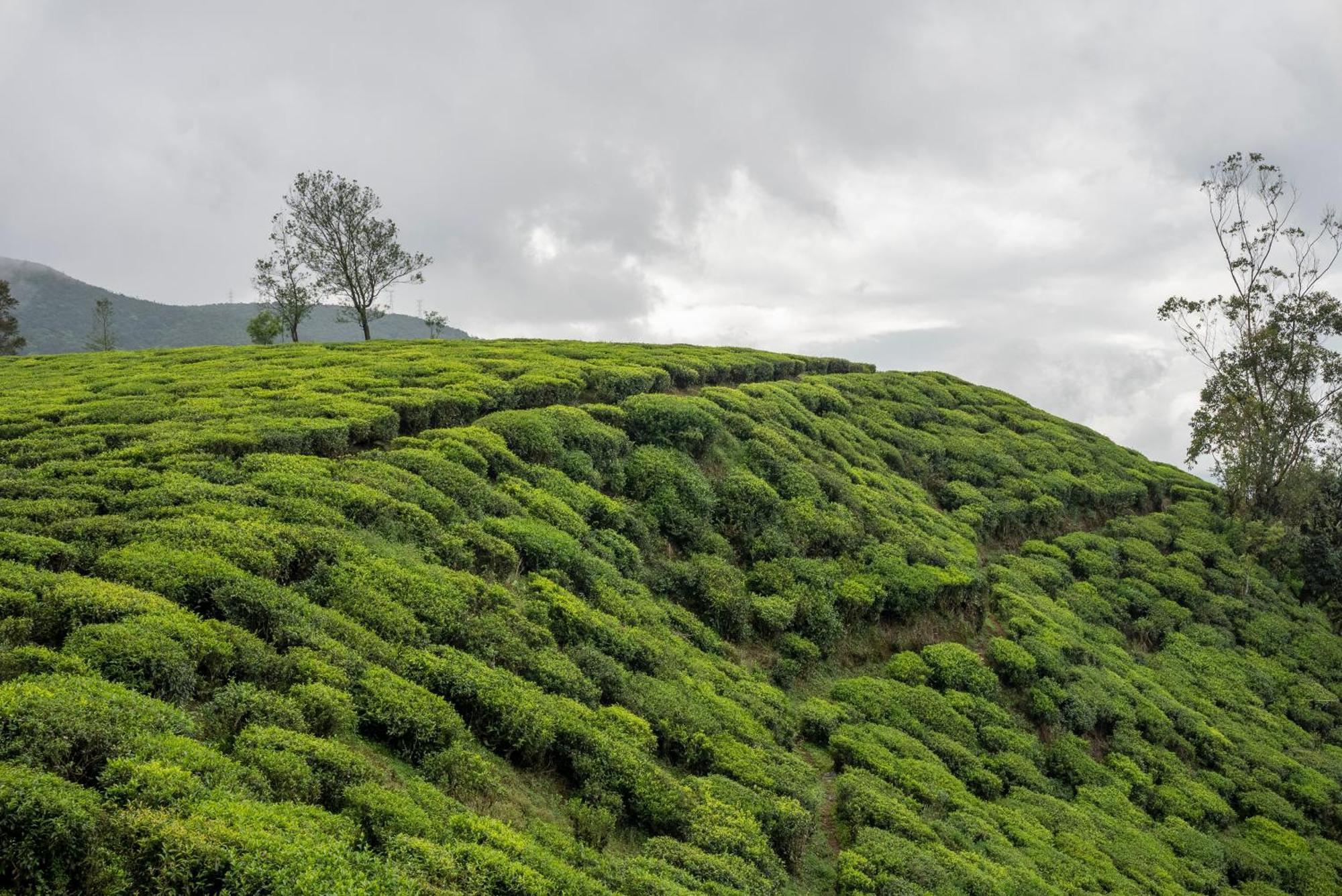 Hotel Aaradhya Nuwara Eliya Exteriér fotografie