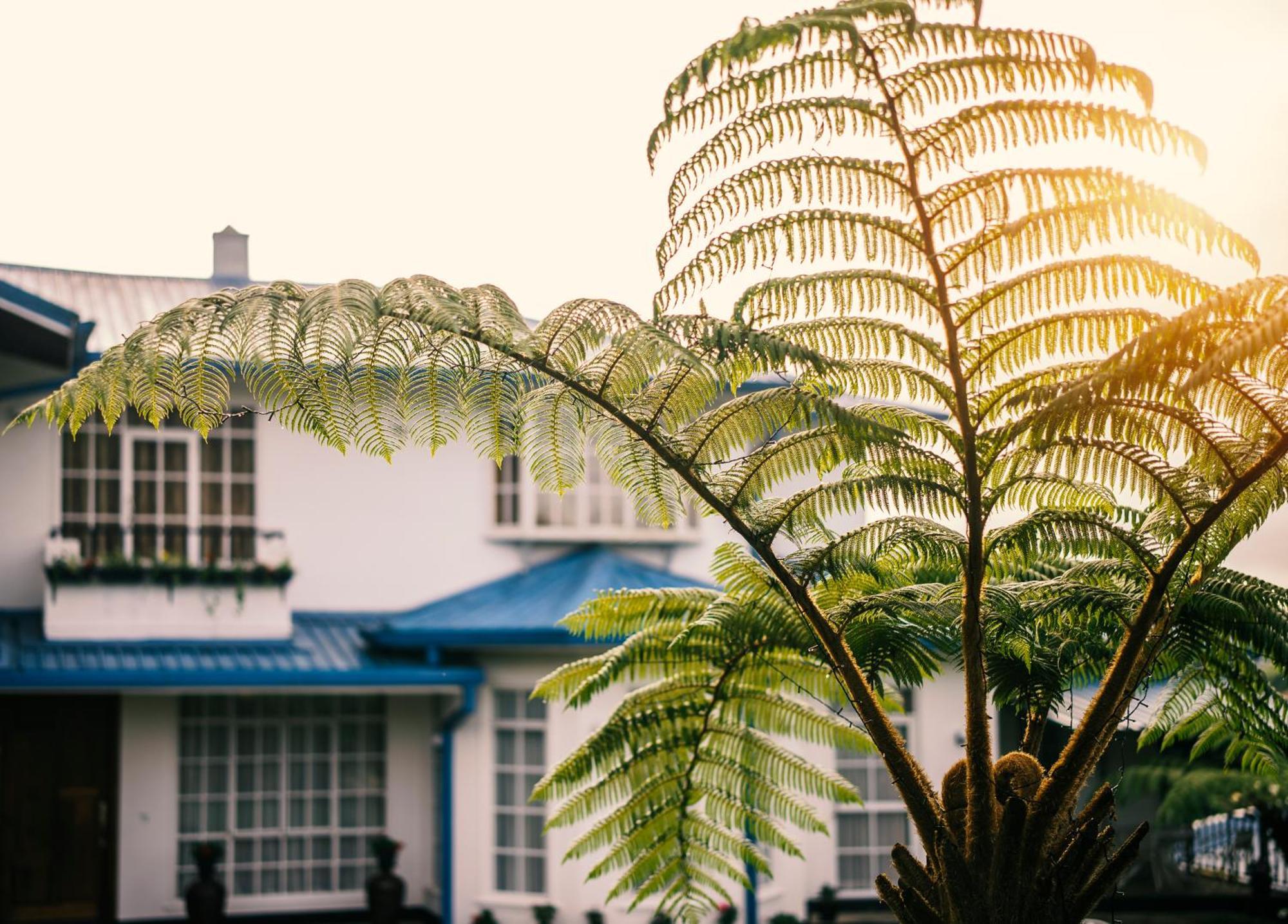 Hotel Aaradhya Nuwara Eliya Exteriér fotografie